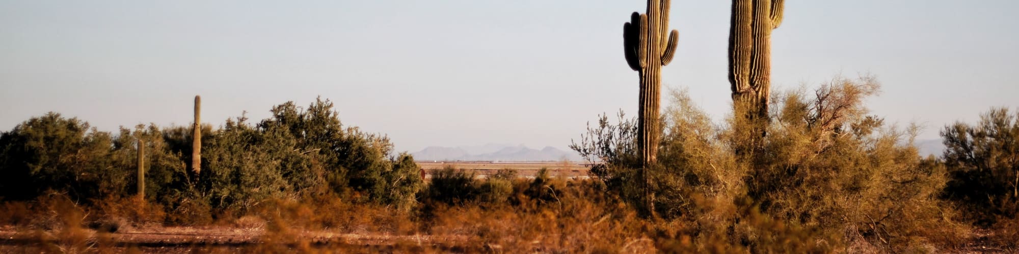 Neighborhood near Harmony at Hurley Farms in Tolleson, Arizona