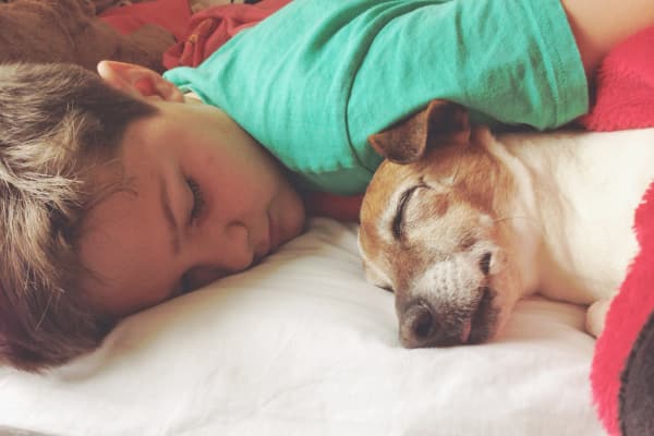 Boy taking a nap with his dog at Bayview Mews in North York