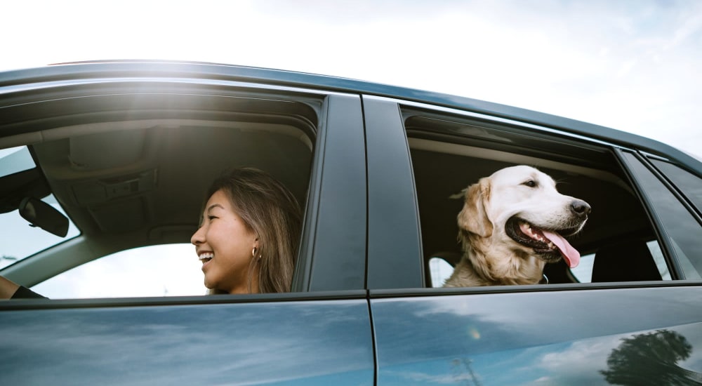 Woman driving a car with her dog near The Enclave at Delray Beach in Delray Beach, Florida