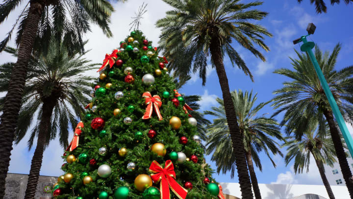 A holiday tree among palm trees.