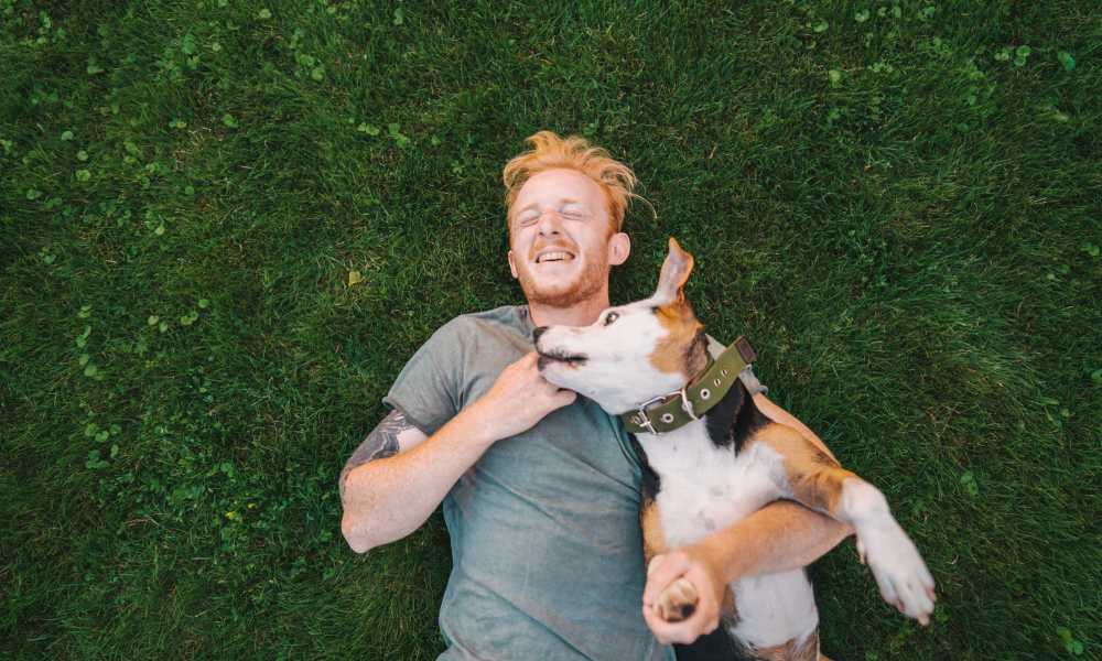 Resident with his dog in the park near Brookside Downtown in Columbia, Missouri