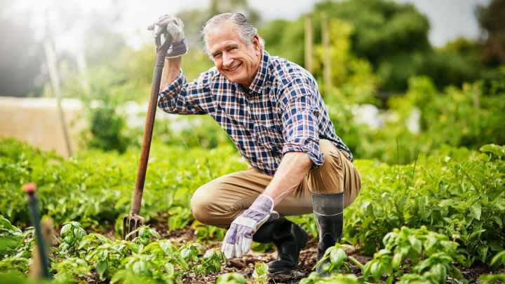 Senior gardening