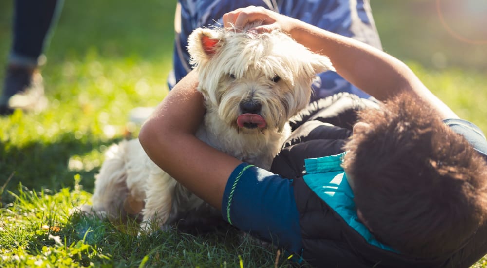 Resident and their dog playing near ila Hyde Park in Cincinnati, Ohio