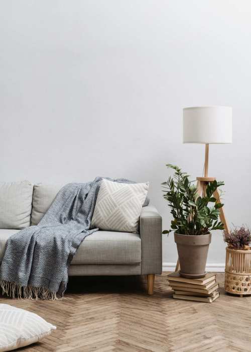 Comfortable living room setup with a couch, lamp, and plant at Vista Point in Reno, Nevada