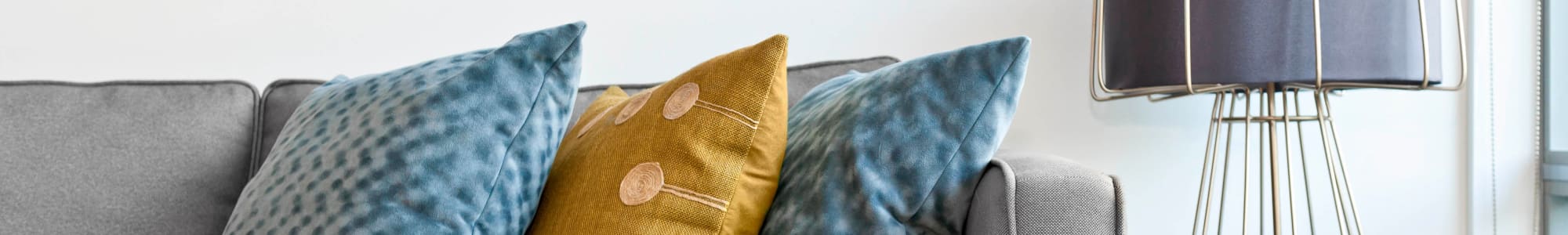 Pet friendly apartments in West Haven