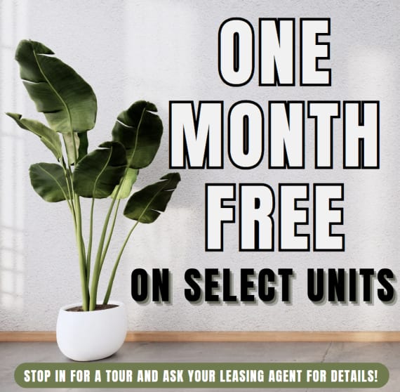 The Hilltop Apartment Homes ONE MONTH FREE ON SELECT UNITS.Limited Availability - Act Fast! **Discount applies after first full months rent.