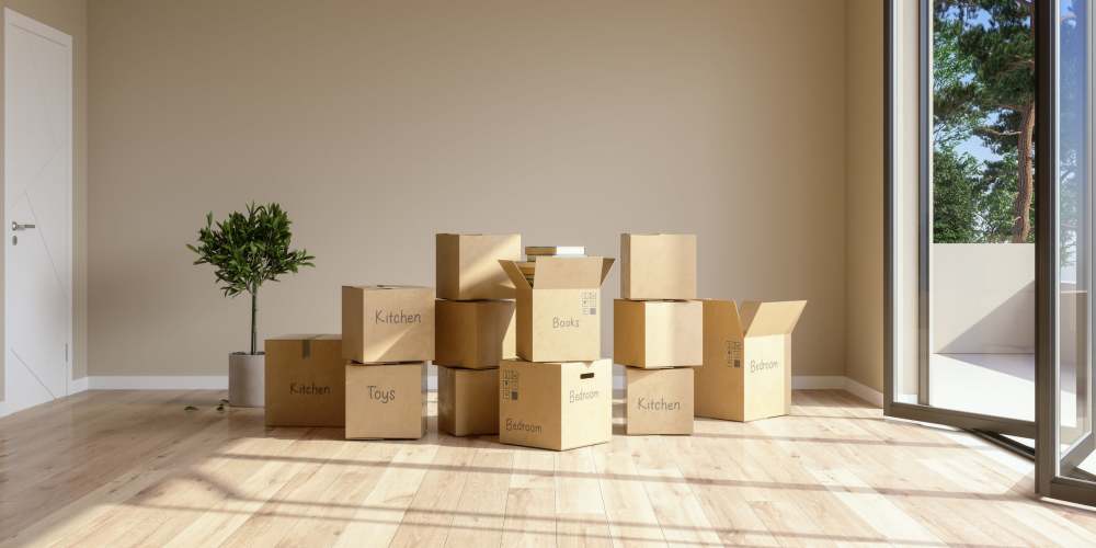 Storage room with scattered cardboard boxes and a single potted plant at 3L Self Storage, Fort Wright, Kentucky