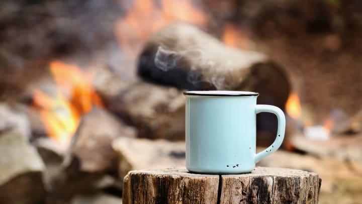 Mug on a log near a campfire in a photo on our blog at The Davis in Fort Worth, Texas