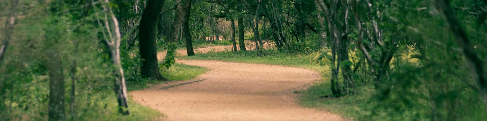 FAQ | Lyra in San Antonio, Texas