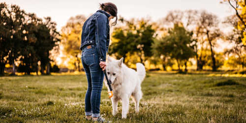 Resident taking her dog for a walk through a verdant park near Greater Pittsburgh Region in Zelienople, Pennsylvania