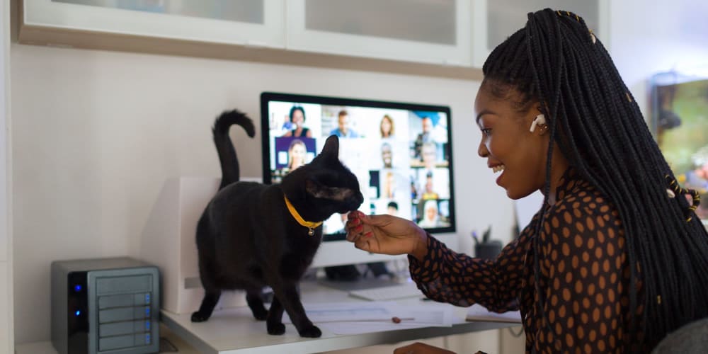 Resident petting her cat during a video meeting at Mutual on Main in Richmond, Virginia