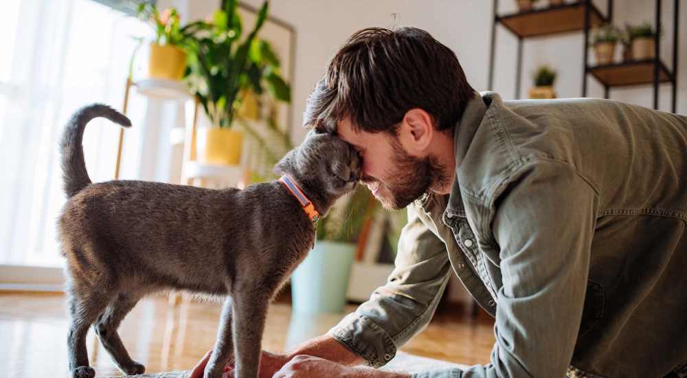 A man gently pets a cat while sitting on the floor at The Beacon in Fremont, California