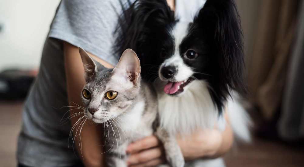 Resident with her pets at Fourth and U in Berkeley, California