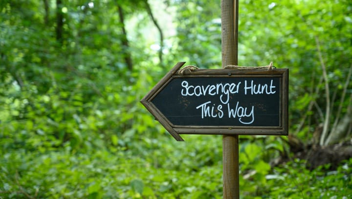 Wooden sign in front of trees that reads Scavenger Hunt This Way located near Olympus Fenwick