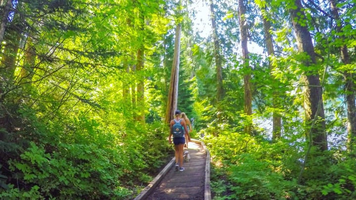women walking on a path through tall trees