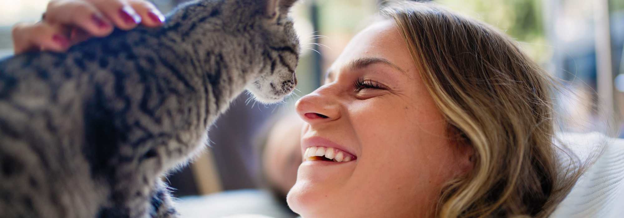 Pet friendly at Bellevue Ridge Apartments in Bellevue, Washington 