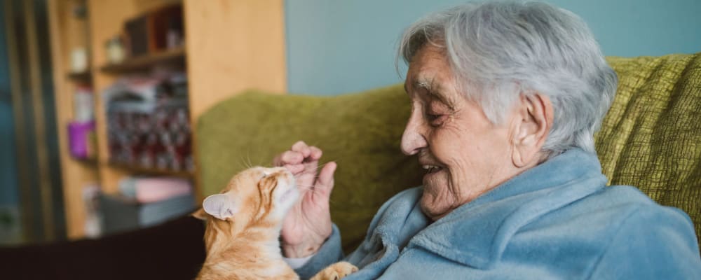 A resident petting a cat at Flower Mound Assisted Living in Flower Mound, Texas