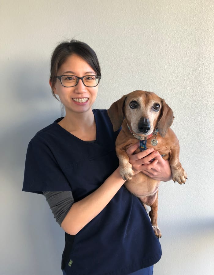 Dr. Stephanie Chen at Value Pet Clinic - Renton