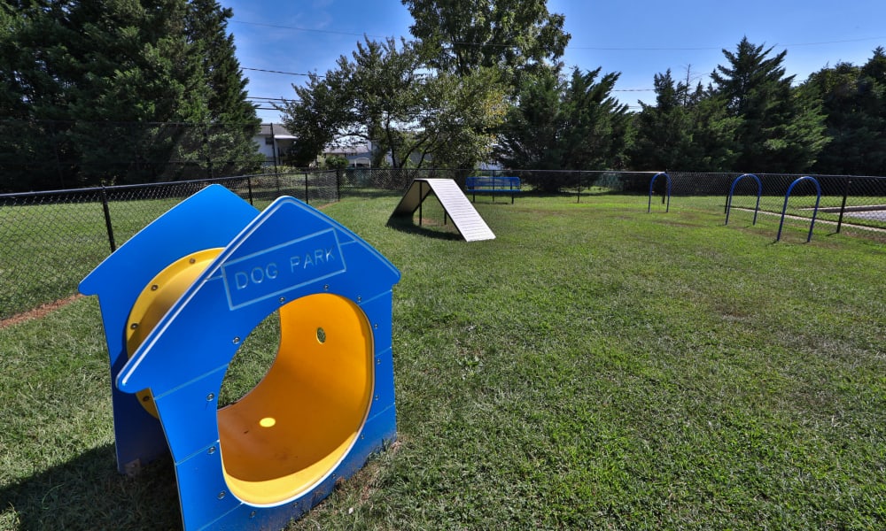Dog park with agility equipment at Imperial North Apartments in Rochester, New York
