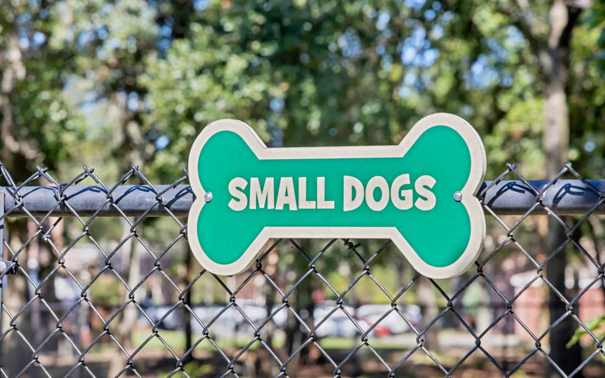 Dog park at Carlton Arms Of Winter Park in Winter Park, Florida