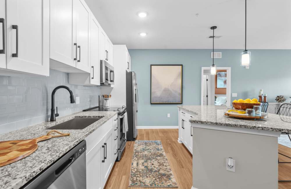 Dishwasher and granite countertop in the apartment kitchen at North Bay Landing in Panama City, Florida