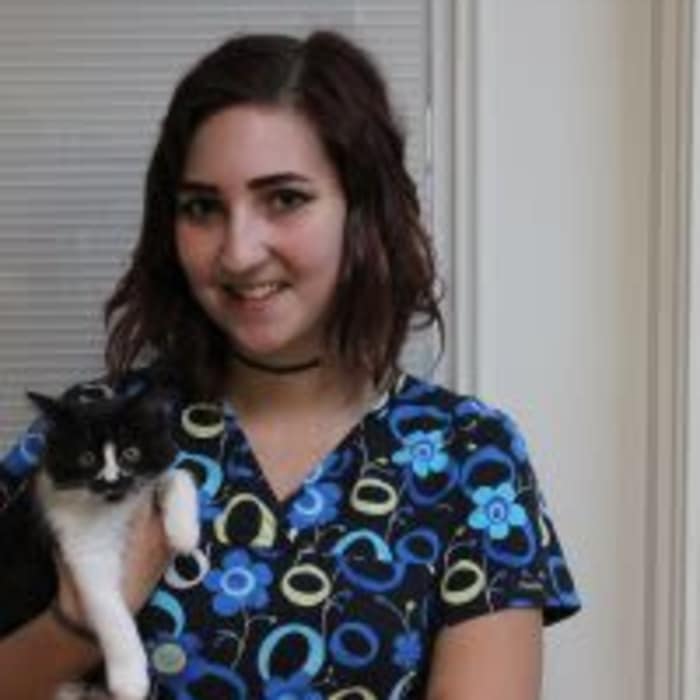 Hannah at Arizona Avenue Animal Clinic in Chandler, AZ