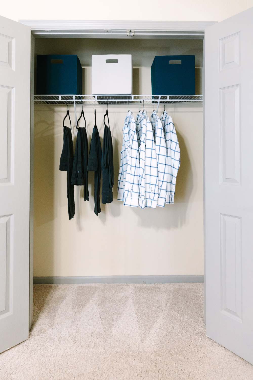 Closet with hanging clothes, storage bins on shelf, and carpeted floor at The Holly in Lubbock, Texas