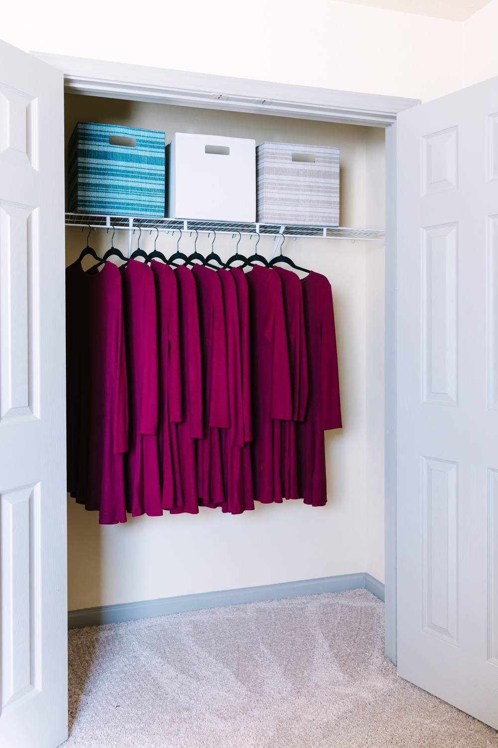 Walk-in closet with hanging clothes, storage bins, and carpeted floor at The Holly in Lubbock, Texas