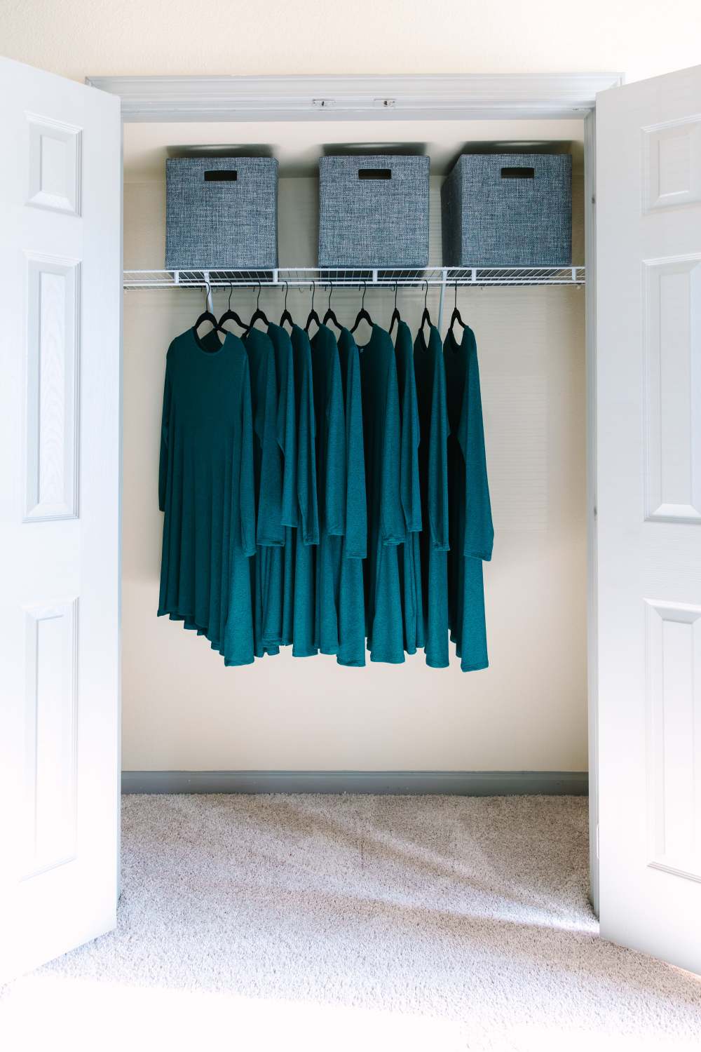 Closet with hanging clothes, storage bins on shelf, and carpeted floor at The Holly in Lubbock, Texas