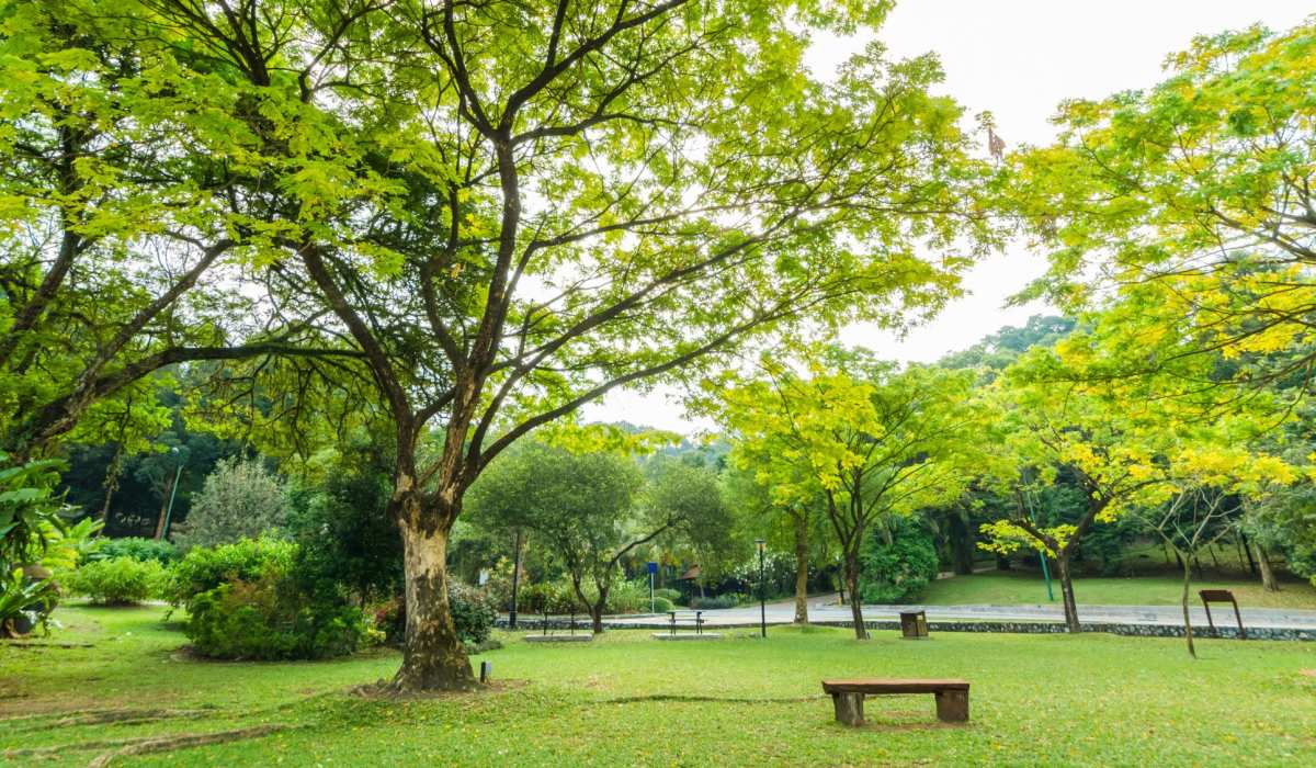Local park at Labelle Greene IV in Wheeling, West Virginia