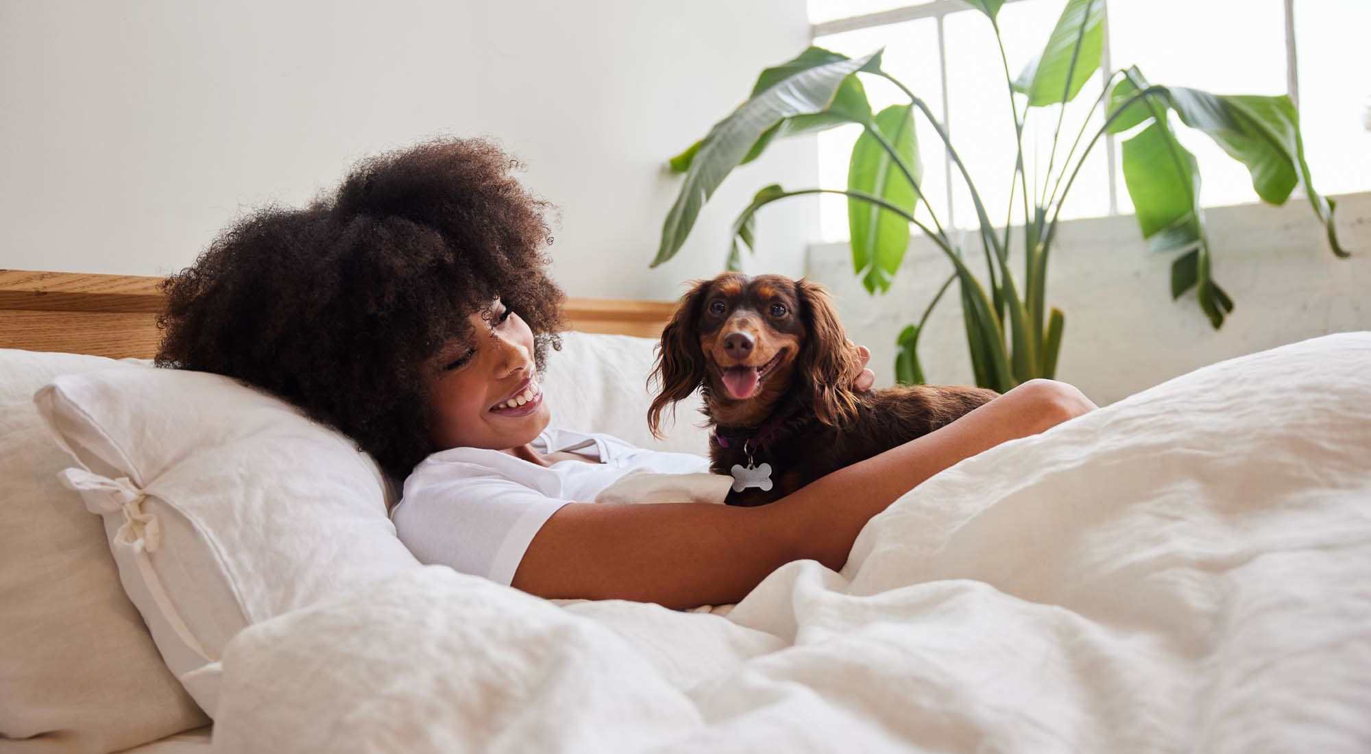 Pet Friendly | The Waterfront on Hatchett Creek in Venice, Florida