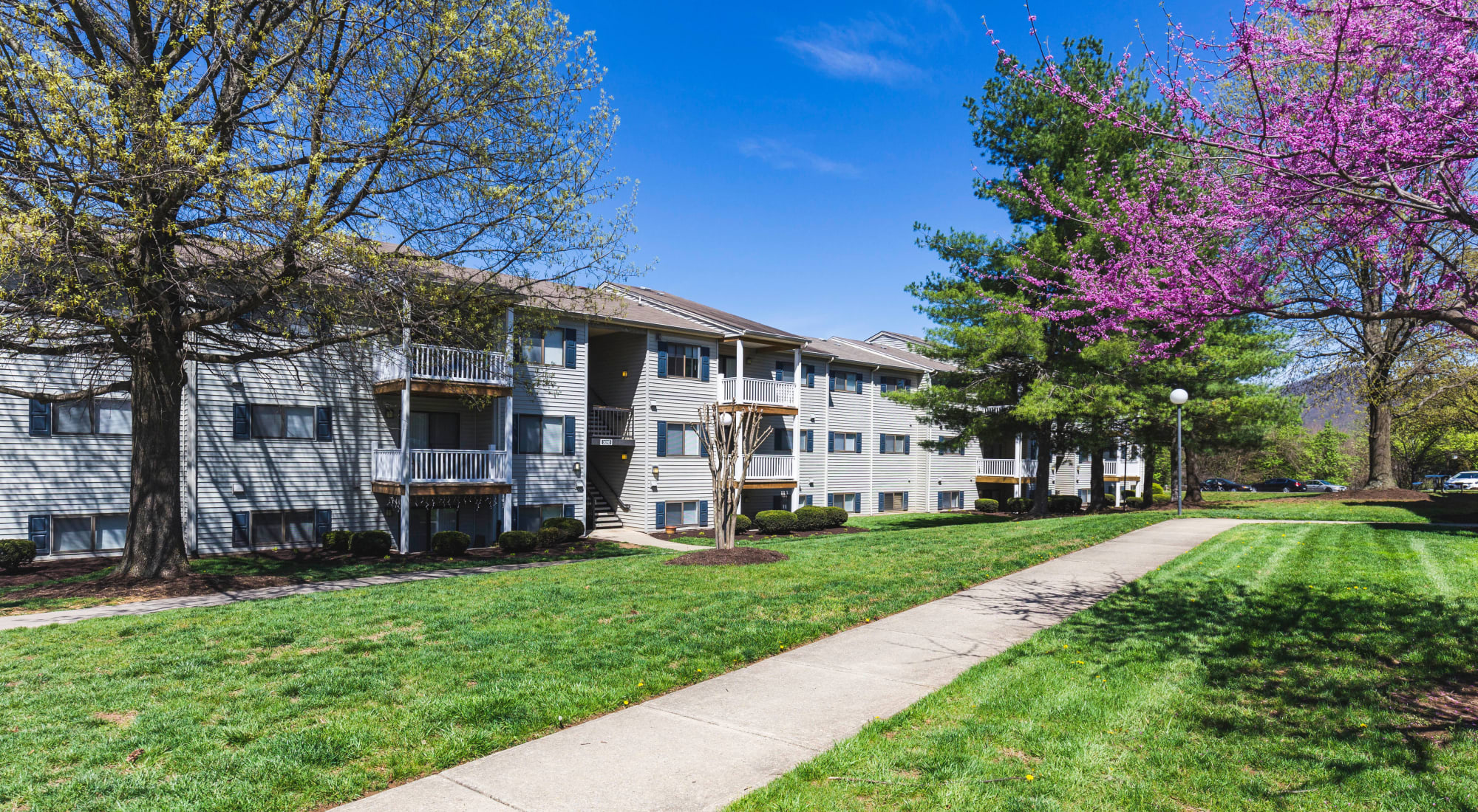 Apartments at Hickory Woods Apartments in Roanoke, Virginia