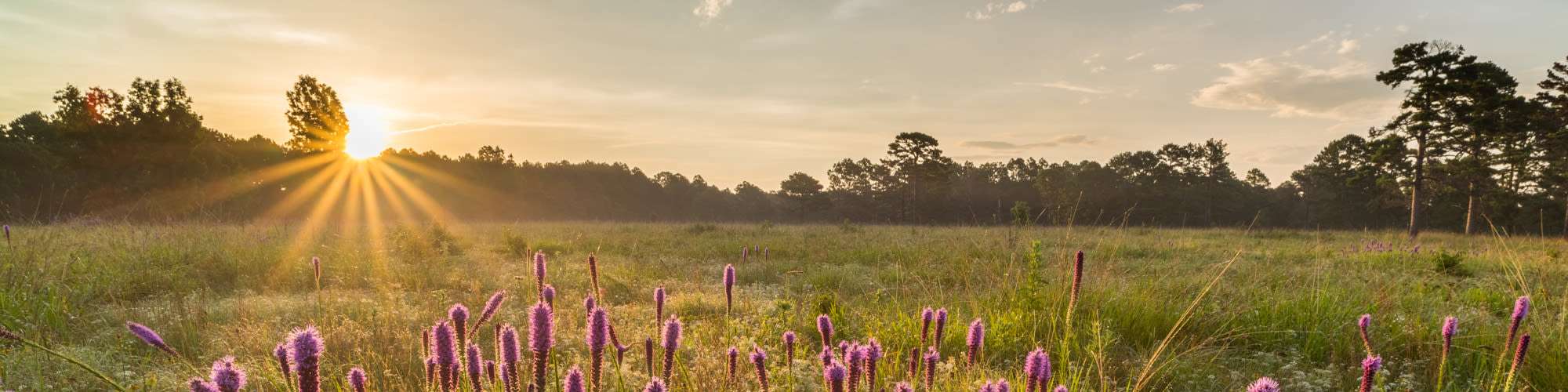 Neighborhood | Dunes Apartments in Seminole, Texas
