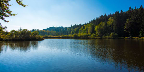 Lake near Applewood Pointe in Minnesota. 