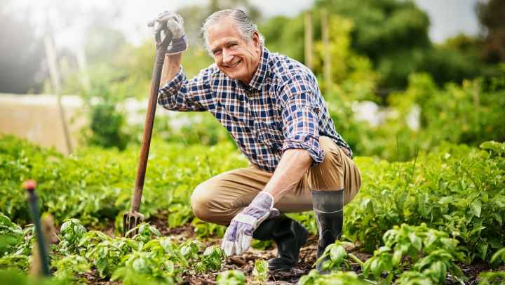 Senior gardening
