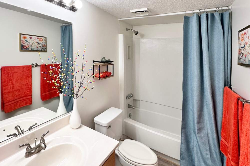 tidy and clean bathroom at South Lake Apartments in Virginia Beach Virginia