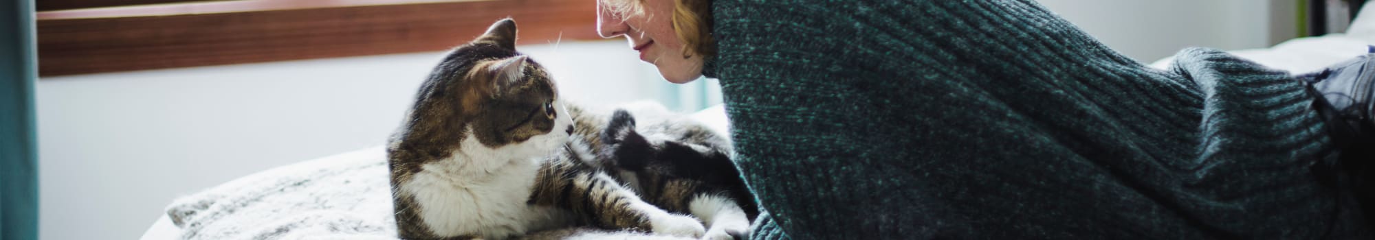 Pet friendly at Landings at Four Corners in Davenport, Florida