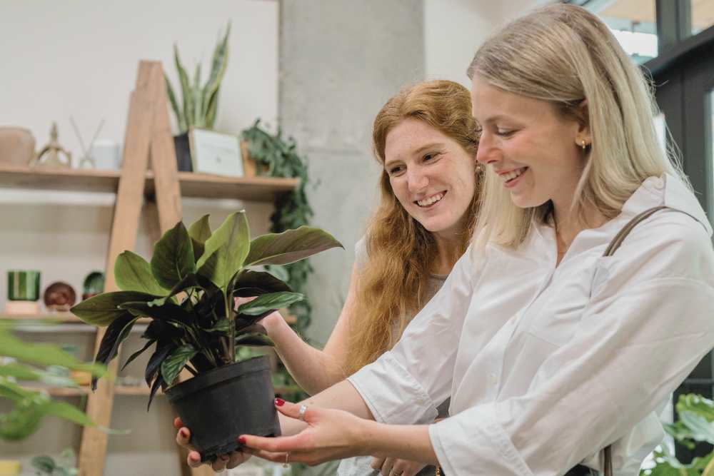 Women buying plants at St. Albans Lofts in Raleigh, North Carolina