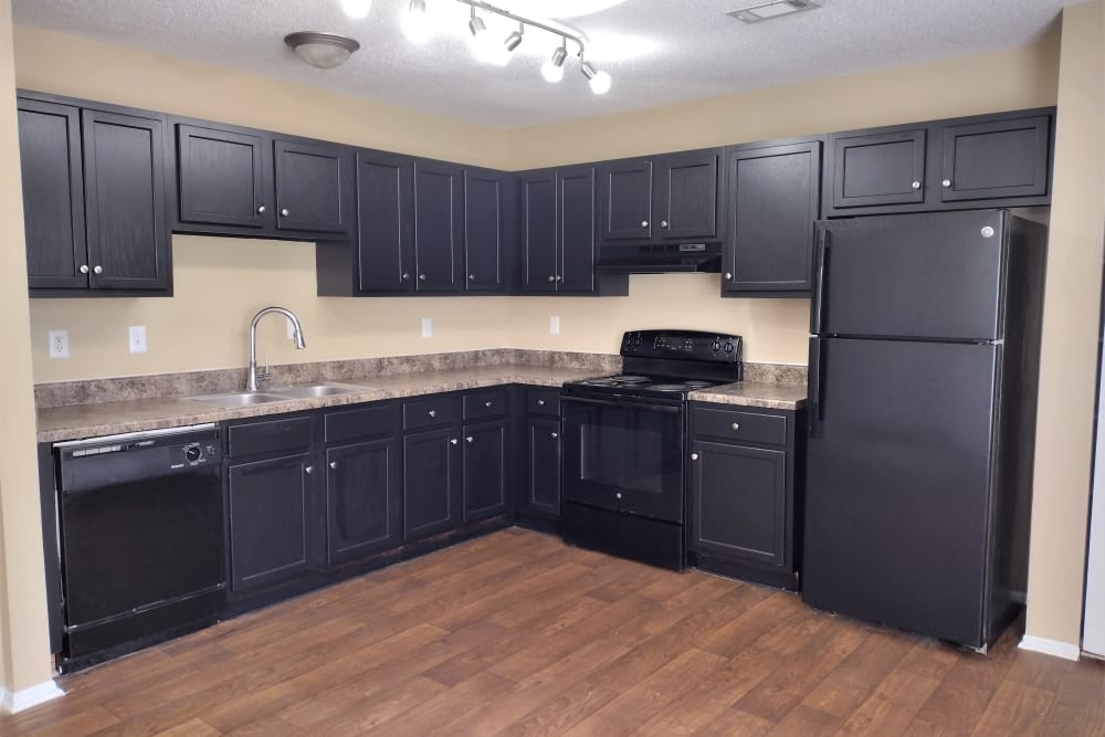 Kitchen with good lighting at Madison Pines Apartment Homes in Madison, Alabama
