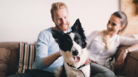 Happy couple and their dog in their new home at North Pointe Apartments