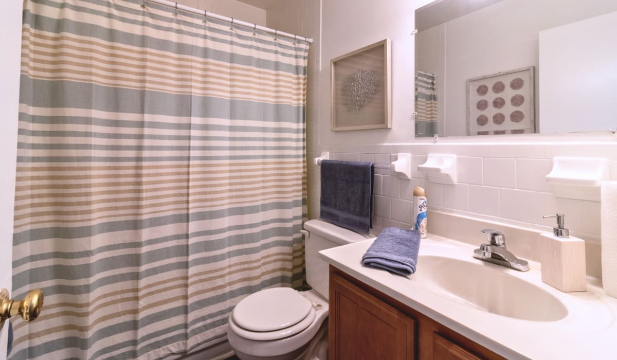 bathroom at Berkshire and Barter Court Apartments in Charlottesville, Virginia