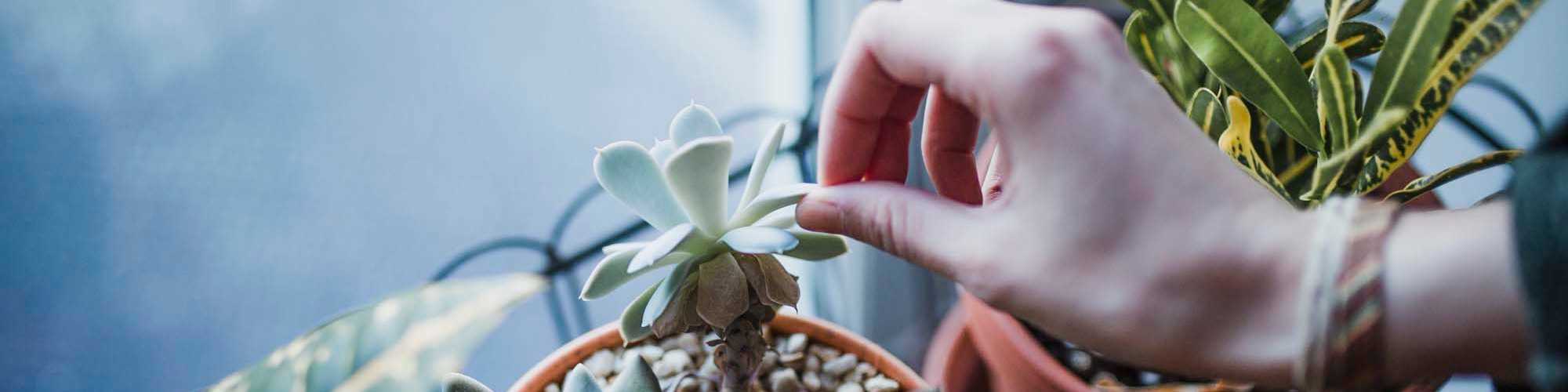 Schedule a Tour | Aven Residences in Houston, Texas