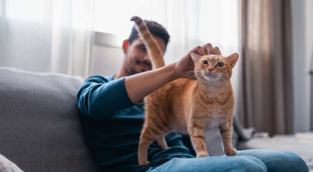 Resident with his cat at The Meadowlark at Fairview in Fairview, Oregon