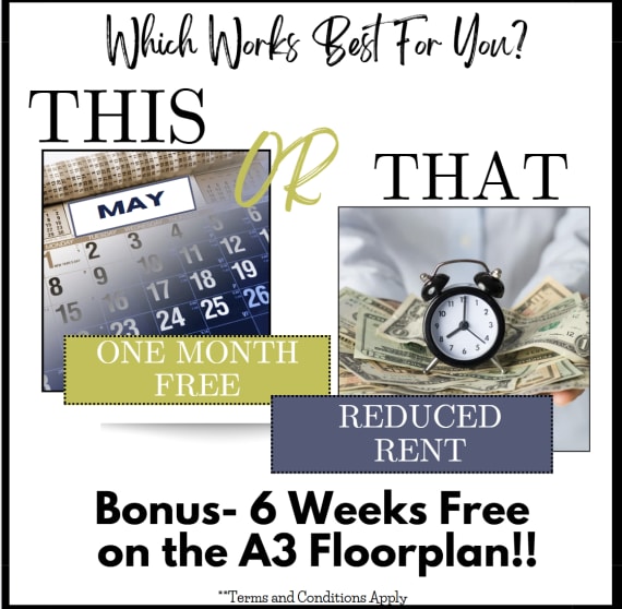 The Palm On SPID April Special Choose between One Month Free or Reduced Rent Must Lease by April 30Th