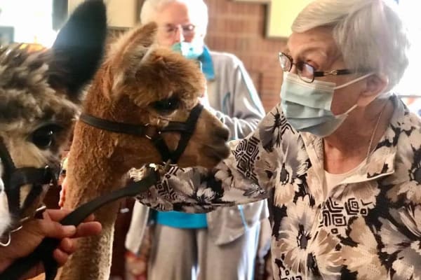  A resident with an alpaca at Wesley Gardens in Montgomery, Alabama