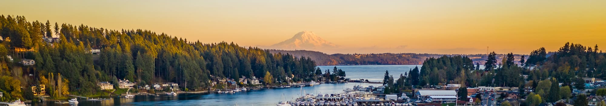 Neighborhood near The Meadows in Tacoma, Washington