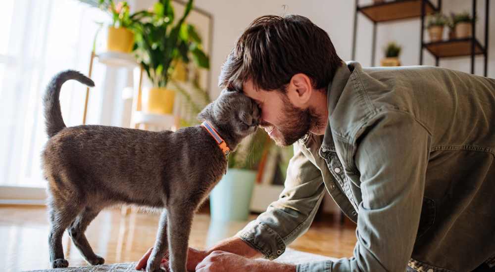Resident playing with cute cat at Brentwood Apartments in Olympia, Washington