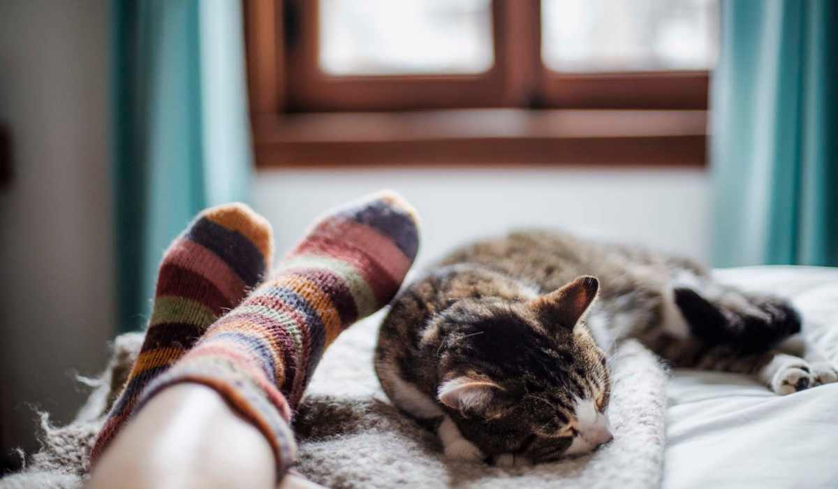 Resident with her cat in bed at Waters Edge in Sacramento, California