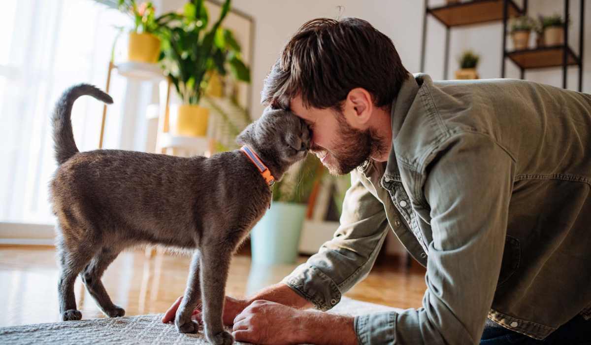 Resident playing with his cat at Crickentree in Mt Pleasant, South Carolina