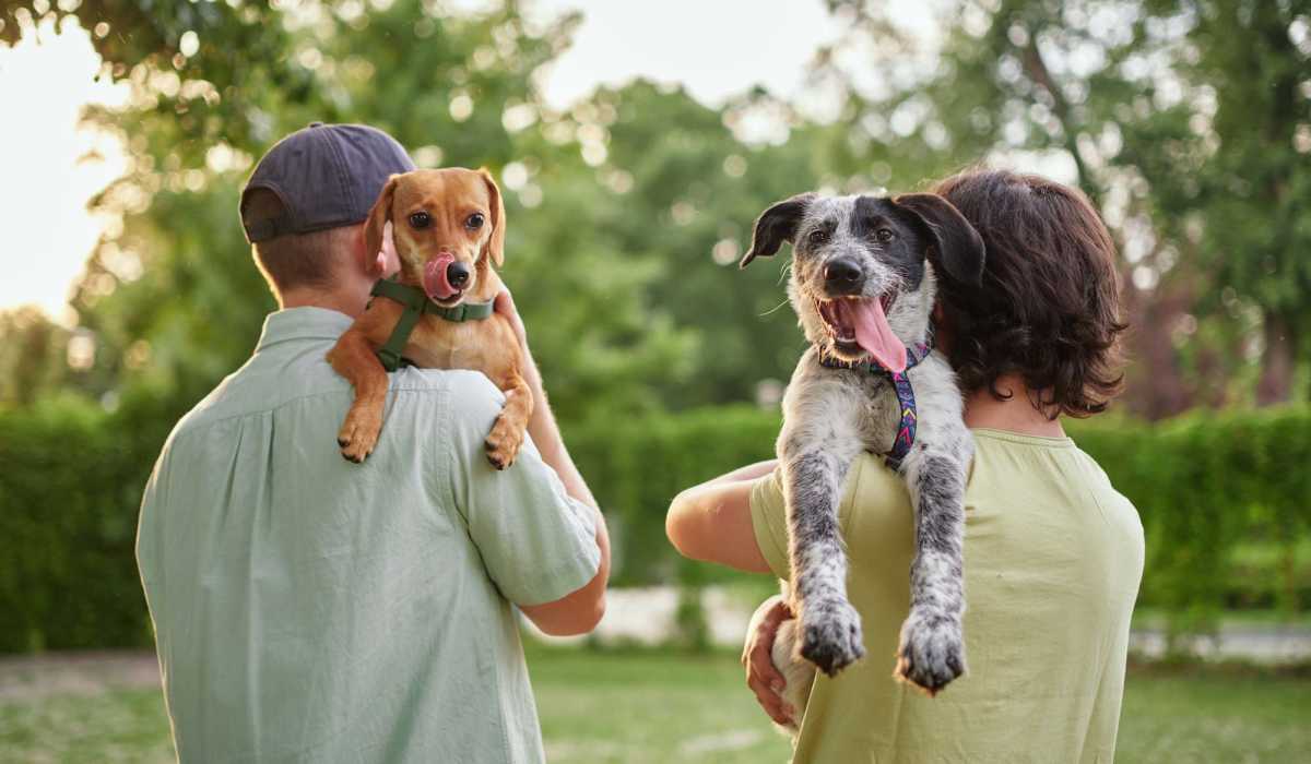Resident with their pets in park at The Waterfront on Hatchett Creek in Venice, Florida